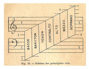 schema-des-principales-voix-2