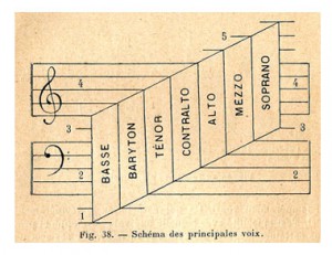 schema-des-principales-voix-2